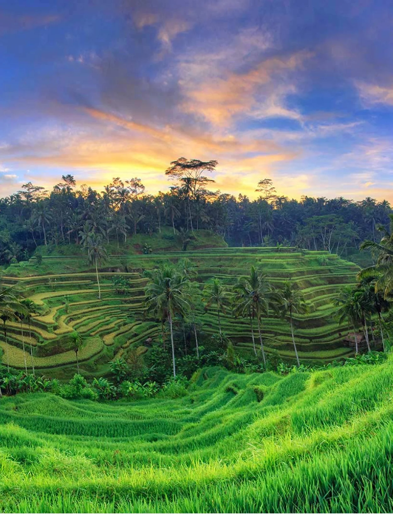 iTour Bali Tour Packages