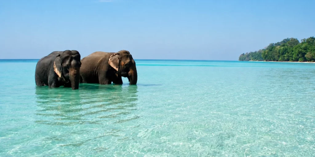 attraction-andaman