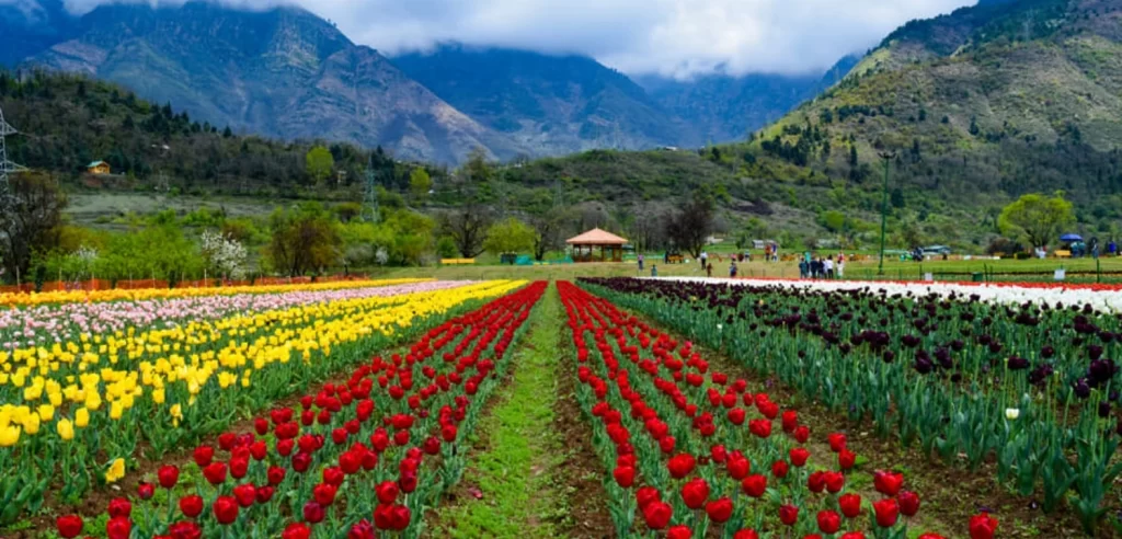 itour-kashmir-6
