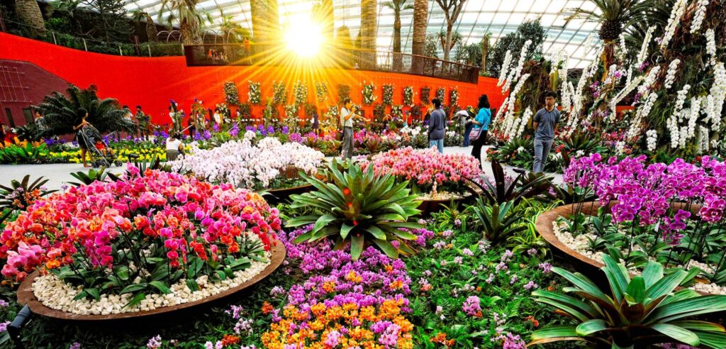 itour-singapore-8