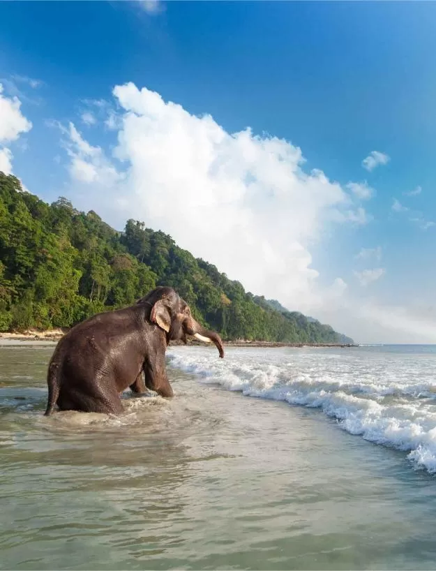 _Andaman-02