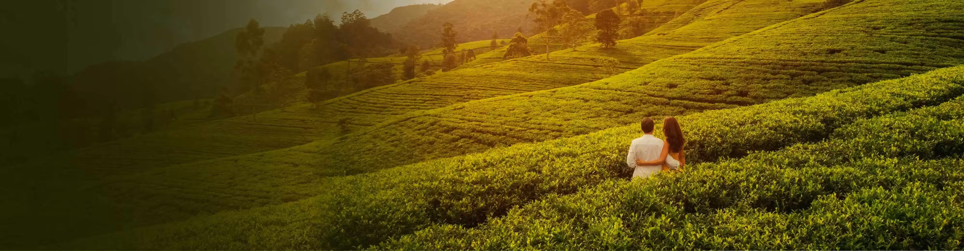 Kerala tour packages
