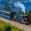 Darjeeling story
