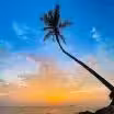 Goa story
